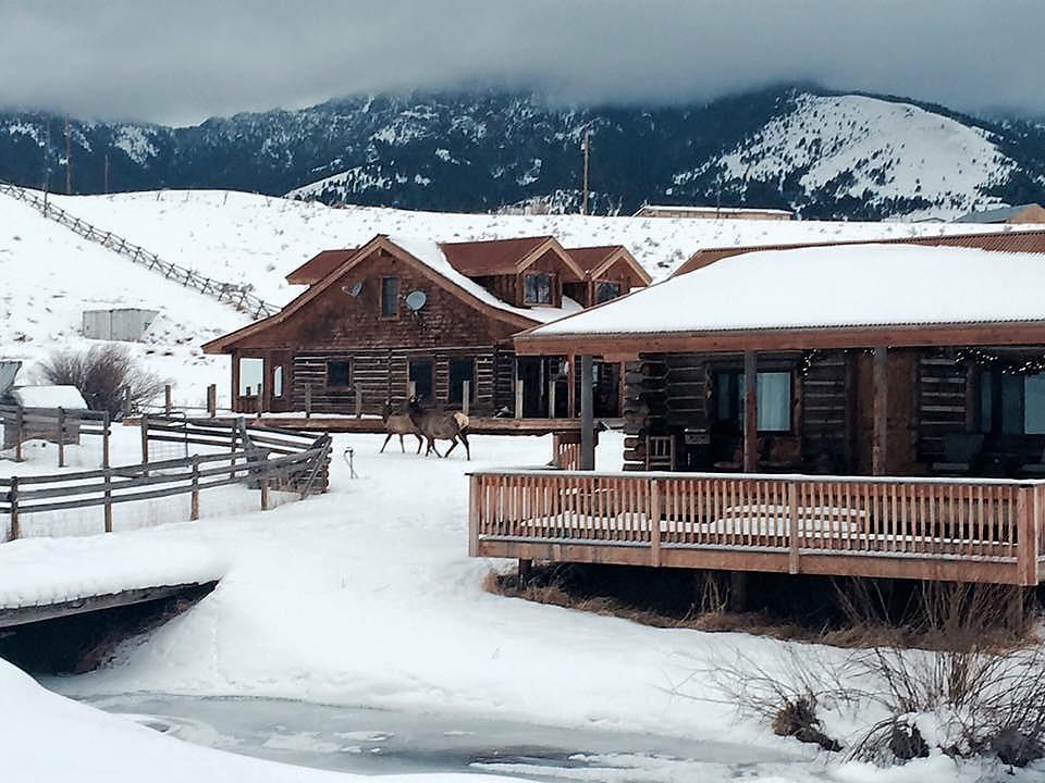 Creek Cabin 加德纳 外观 照片